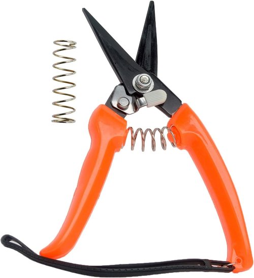 Regine Switzerland Hoof Trimmers - Multiuse Carbon Steel Shears for Goats, Sheep, and Alpacas