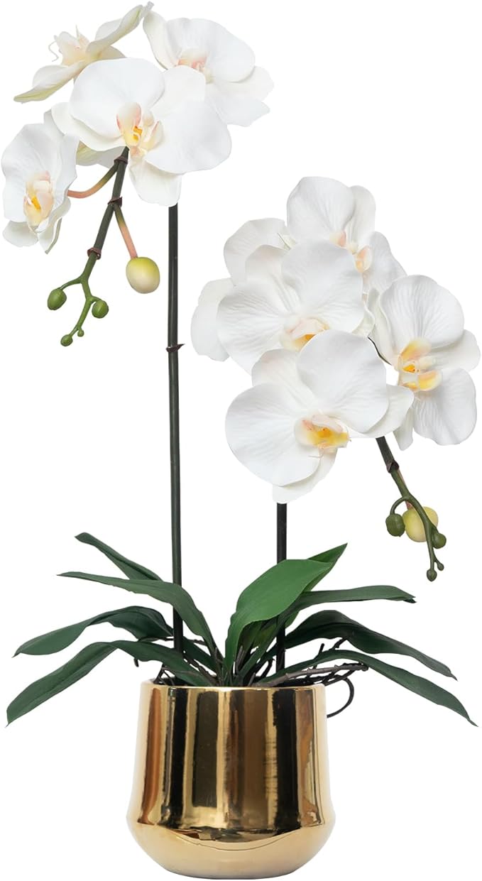 CXGS Orchids Artificial Flowers Realistic Fake Flowers in Ceramic Pot 20" White Lifelike Faux Floral Arrangement Soft PU Phalaenopsis for Home Hotel Indoor Decor, Centerpiece Display