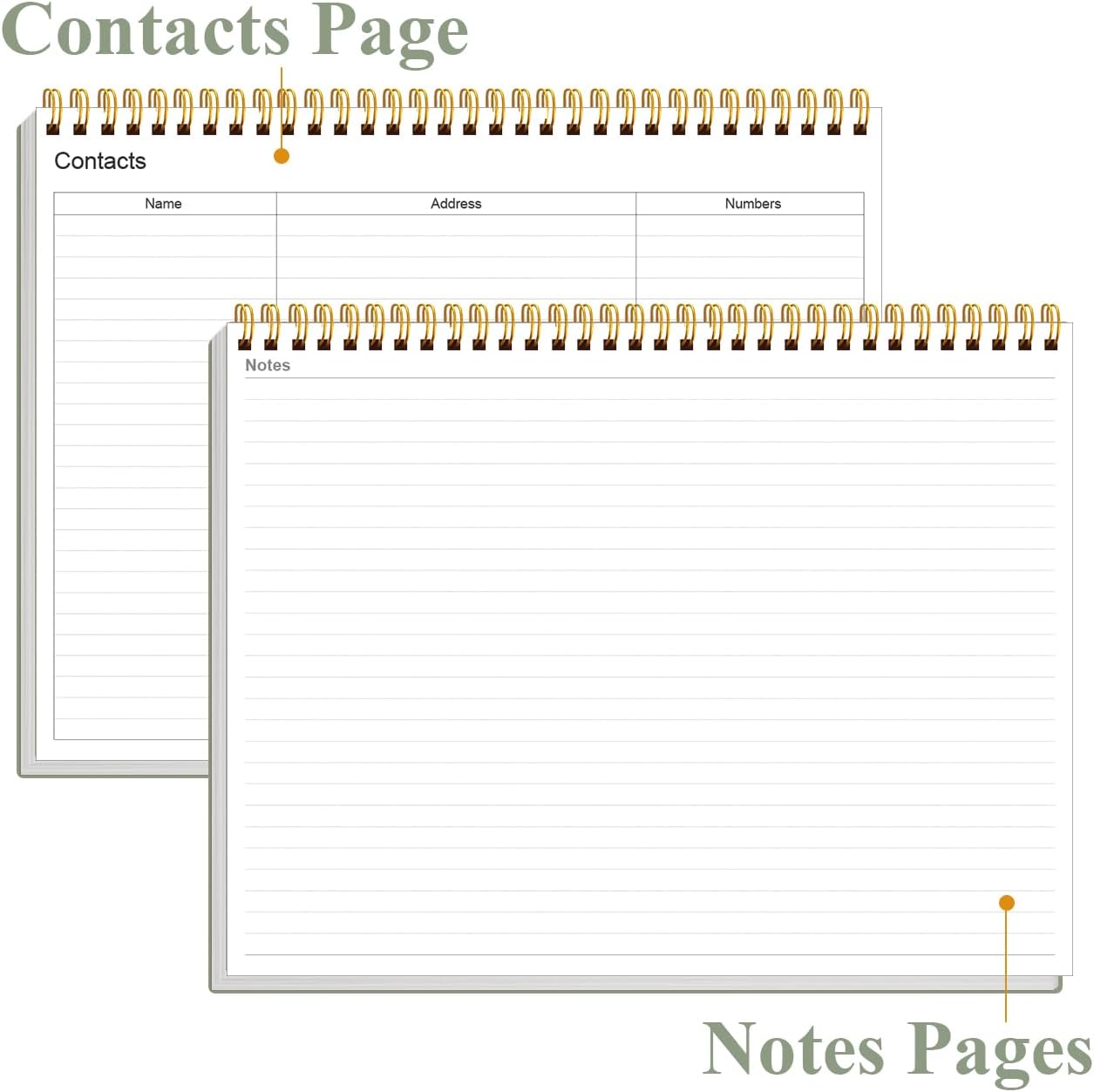 Weekly Productivity Planner | 8.5" x 11" Desk Notepad with 6 Focus Areas for Efficient Task Management - Green