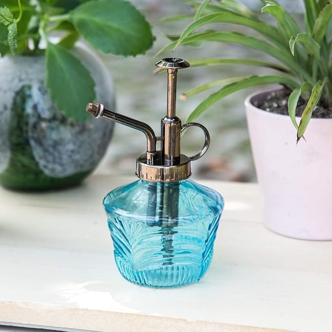 Glass Mini Watering Can & Self - Watering Globe Set - Flower Water Spray Bottle with Terracotta Spike, Perfect Plant Watering Gift for Indoor Outdoor Gardens