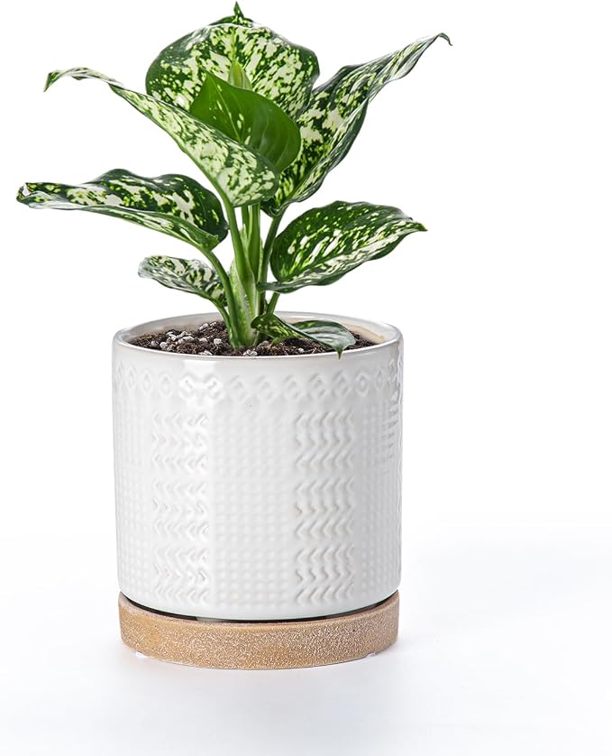 Indoor-Outdoor Ceramic Plant Pots: 6 Inch Flower Pots with Drainage Hole & Saucer - Decorative Ceramic Pots for Plants Herbs Succulents - Home Garden Patio Lawn Use