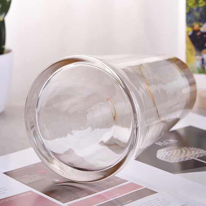 WHJY 9 inch Clear Glass Vase for Table Centerpieces Home Décor, Flower vase Modern Glass Bottles Decorative-White