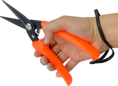 Regine Switzerland Hoof Trimmers - Multiuse Carbon Steel Shears for Goats, Sheep, and Alpacas