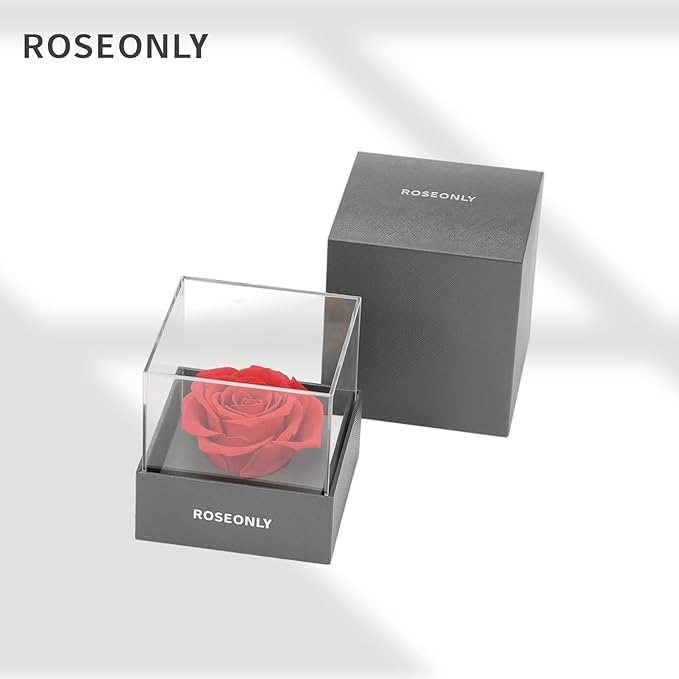 Preserved Rose Romantic Gifts for Wife Female Womens Real Red Roses Flowers for Valentine's Day Christmas Birthday Mother's Day Anniversary (Mini)