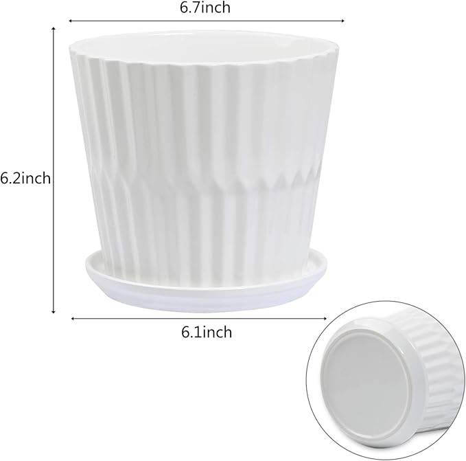 sietpoek Plant Pots - 6.7 Inch Cylinder Ceramic Planters with Connected Saucer, Pots for Succuelnt and Little Snake Plants, Set of 2, White