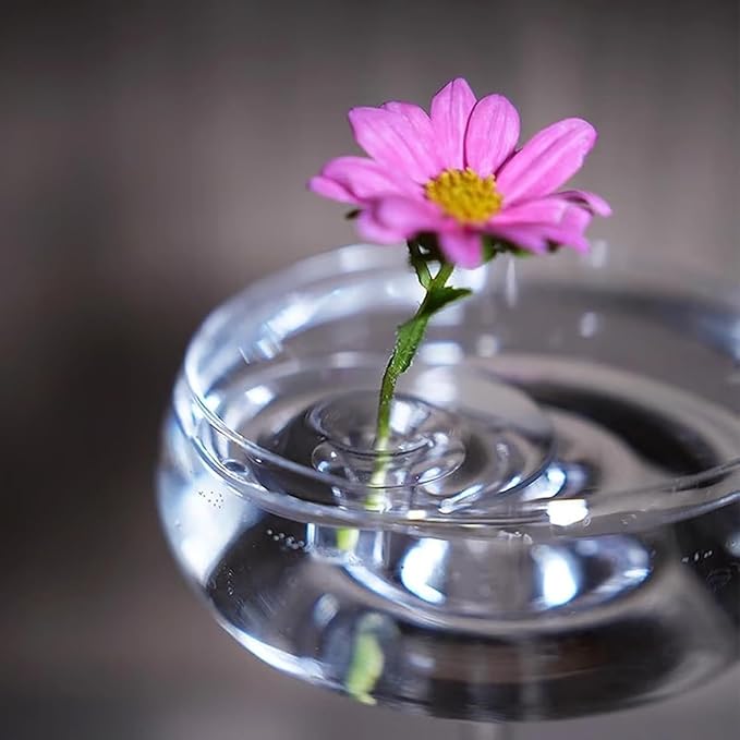 2025 Creative Floating Flower Floral Arrangement Holder,Modern Floating Vase Pedestal Stand,Innovative Floating Flower Display Stand Clear Acrylic Flower Bowl Stem Holder (10PCS, Large)