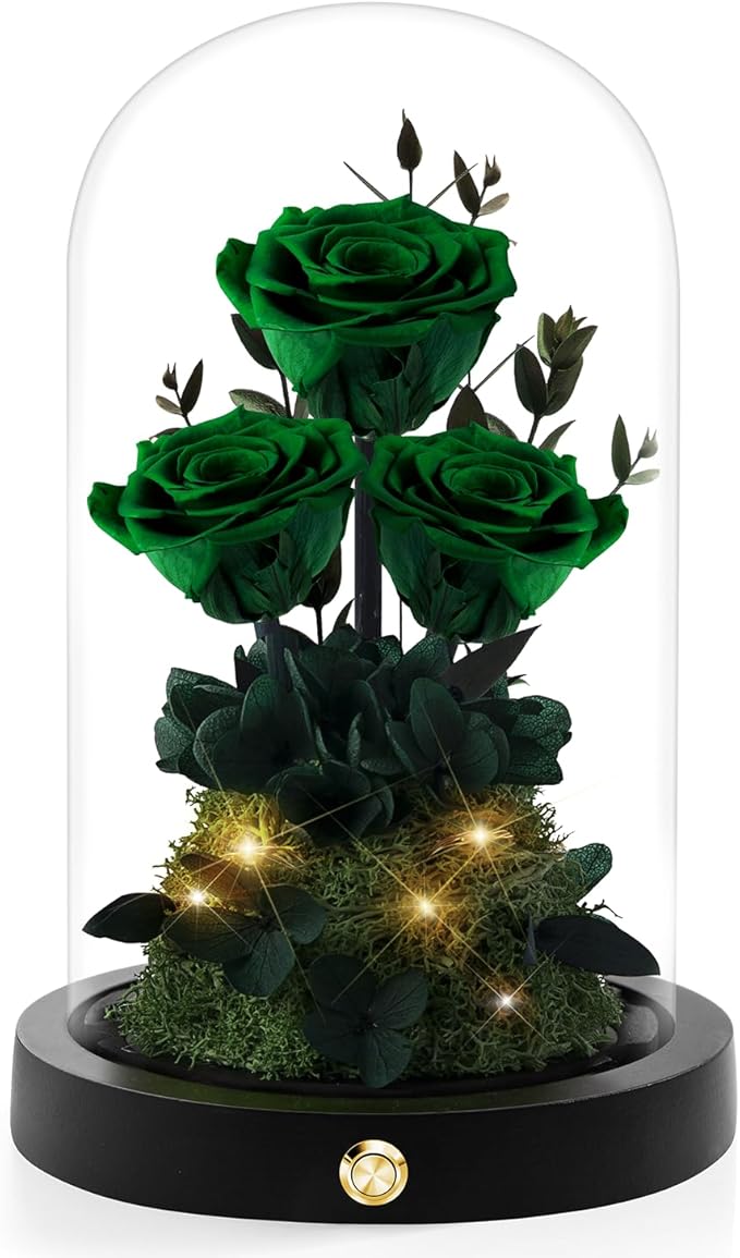 Christmas Flowers Roses Gifts for Mom,Forever Real Preserved Roses in Glass Dome,Christmas Anniversary Thanksgiving Gifts for Wife Girlfriend Women Best Friend Grandma/Green Rose