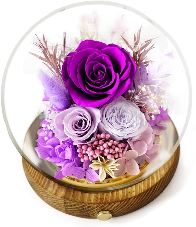 Preserved Real Rose Flowers in Glass Dome with LED Lights,Real Rose Flowers Unique Floral Gift for Girlfriend Mom Wife Girlfriend on Christmas Birthday Anniversary (Aurora Purple)