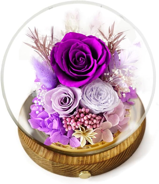Preserved Real Rose Flowers in Glass Dome with LED Lights,Real Rose Flowers Unique Floral Gift for Girlfriend Mom Wife Girlfriend on Christmas Birthday Anniversary (Aurora Purple)
