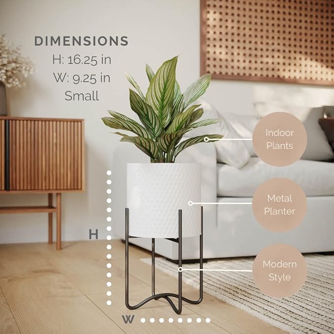 EverNest Claire Mid-Century Modern White Plant Pot with Ambrose Stand, SelectBase, Indoor Plant Pot, Bohemian Style, Minimalist Plant Home Décor (Small, Black)