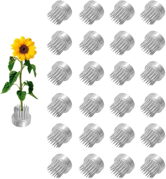 Kenzan Floral Frog 23mm/0.9inch Diameter Ikebana Flower Arranger Holder Stainless Steel Pin for Small Vase (24Pcs)