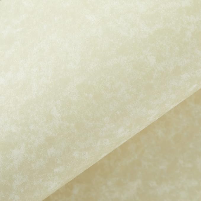 Best Paper Greetings Stationery Paper & Envelopes Set - 96-Pack, 8.5 x 11 Inch, Cream Textured - Letter Writing Paper for Love Letters & Invitations