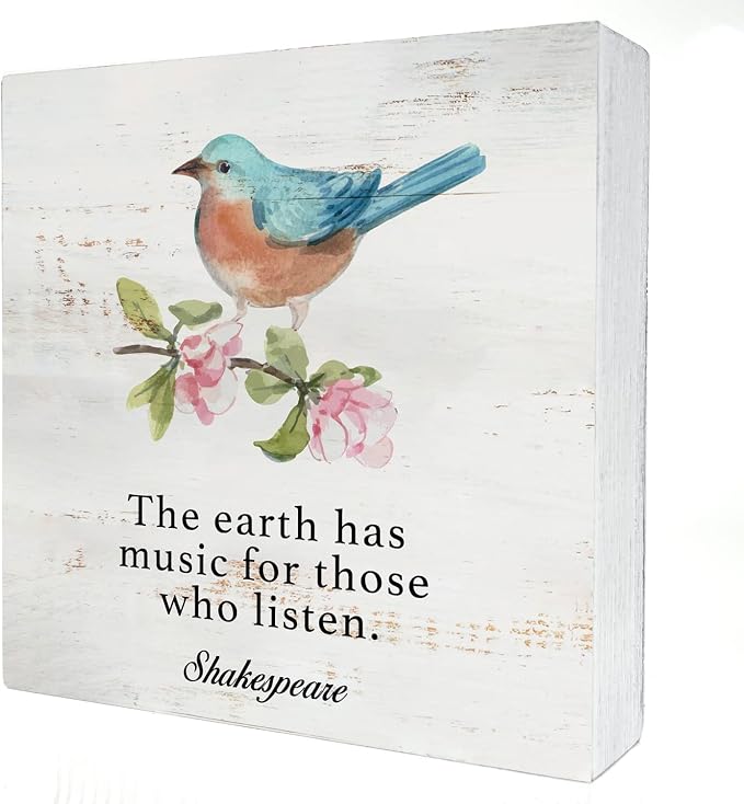 the Earth Has Music Wood Box Sign Home Decor Rustic Bird Spring Wooden Box Sign Block Plaque for Wall Tabletop Desk Home Decoration Bird Lover Gift