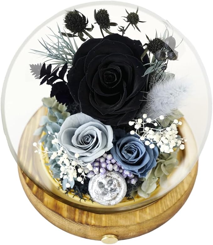 Preserved Real Rose Flowers in Glass Dome with LED Lights,Real Rose Flowers Unique Floral Gift for Girlfriend Mom Wife Girlfriend on Christmas Birthday Anniversary (Elegant Black)