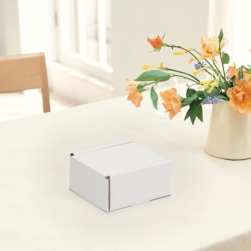 HORLIMER Shipping Boxes - 4x4x2 Inches White Corrugated Cardboard Mailers | Set of 100