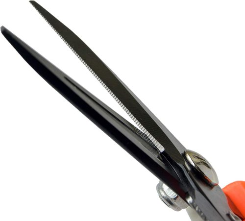 Regine Switzerland Hoof Trimmers - Multiuse Carbon Steel Shears for Goats, Sheep, and Alpacas