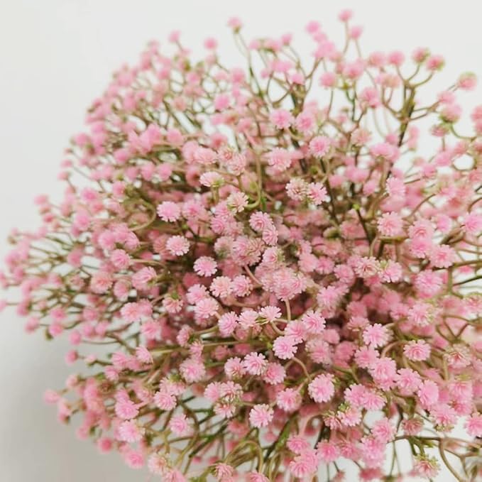 Bringsine Baby Breath Gypsophila Deco Pink Colour Artificial Flowers for Wedding 30 Pieces/lot