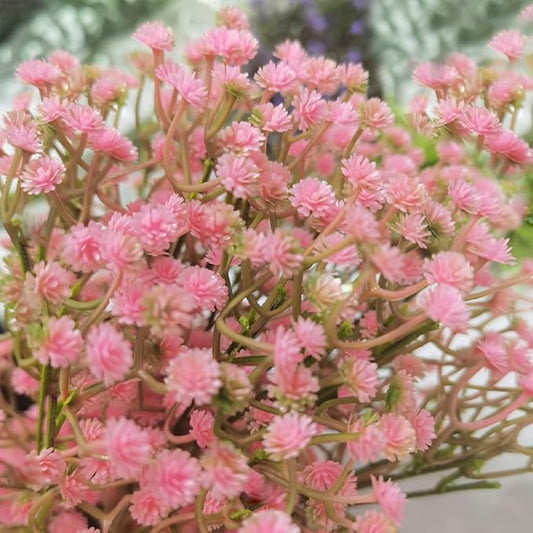 Bringsine Baby Breath Gypsophila Deco Pink Colour Artificial Flowers for Wedding 30 Pieces/lot