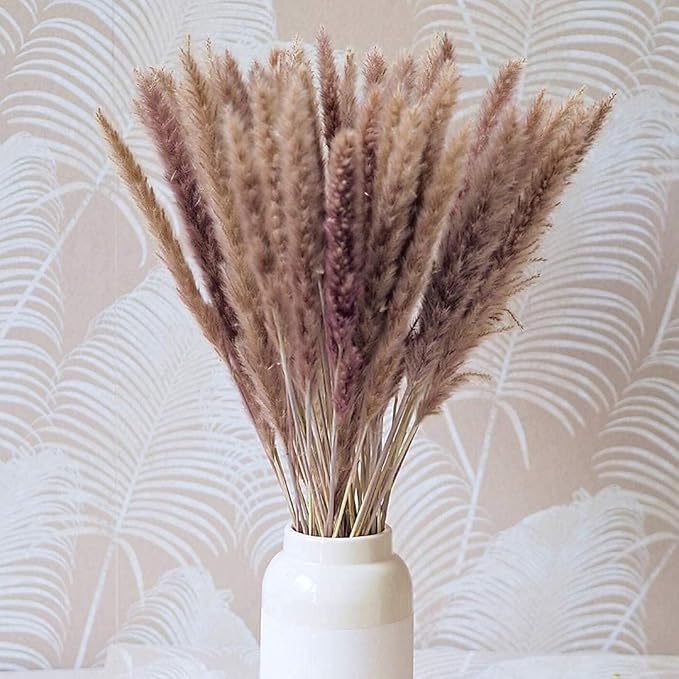 60 Pcs Pampas Grass ,17.7 inch/45cm Natural Dried Pampas Grass Branches Decor for Home Kitchen Garden Party Photographing Flower Arrangement Vase Decor (Natural)…