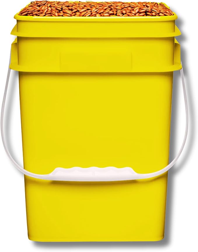 House Naturals 4 Gallon Square Food Grade Plastic Bucket with Lid, Made in USA (Pack of 2) BPA Free (Yellow)