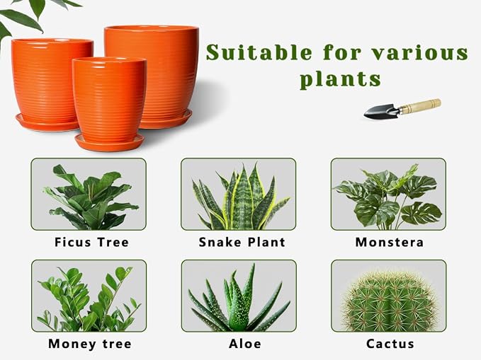 8 Inch Plant Pot, Ceramic Planters for Plants with Drainage and Saucer, Orange
