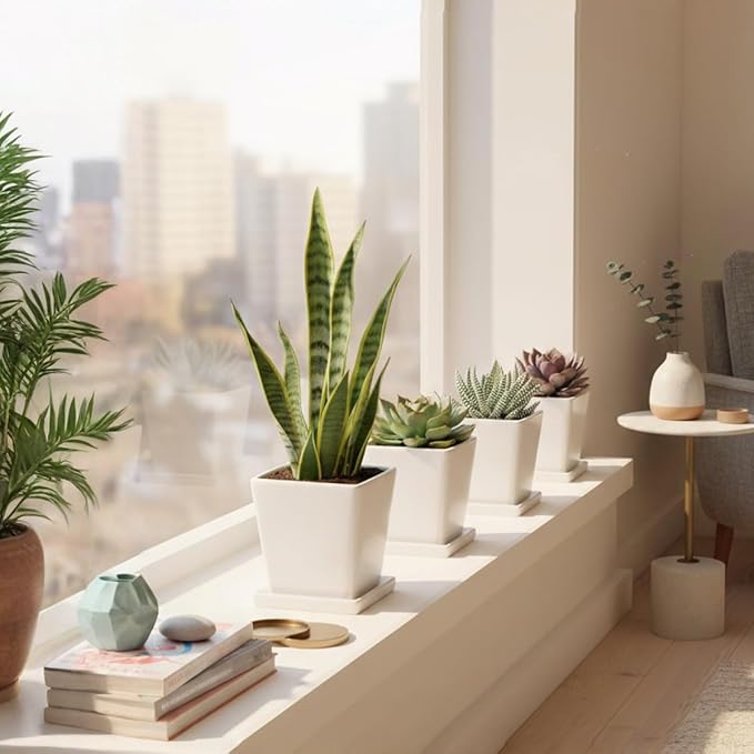 White Ceramic Plant Pots with Saucers, 4 Inch Square Succulent Planter Pots Set of 4, Modern Minimalist Small Flower Pots for Indoor Plants, Cactus, Herbs, Home Office Decor