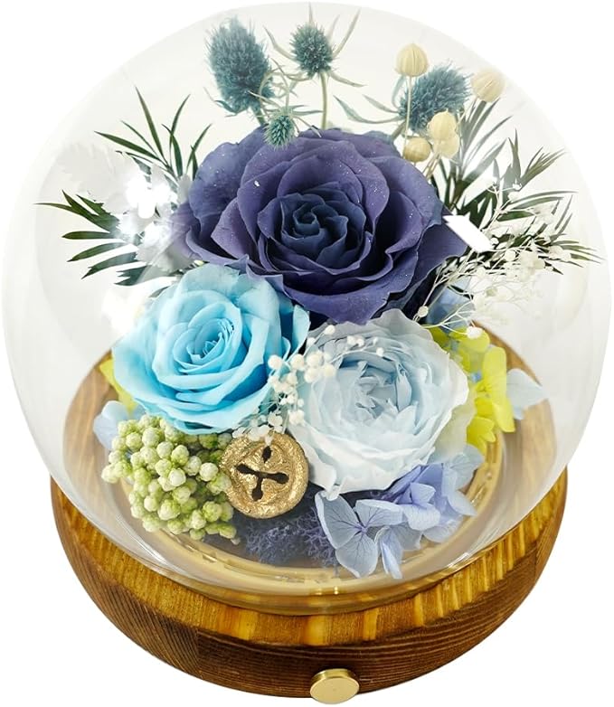 Preserved Real Rose Flowers in Glass Dome with LED Lights,Real Rose Flowers Unique Floral Gift for Girlfriend Mom Wife Girlfriend on Christmas Birthday Anniversary (Starry Sky Blue)