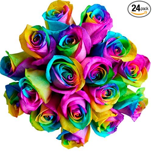 24 Premium Stems - Fresh Rainbow Roses Bouquet - by Flower Explosion