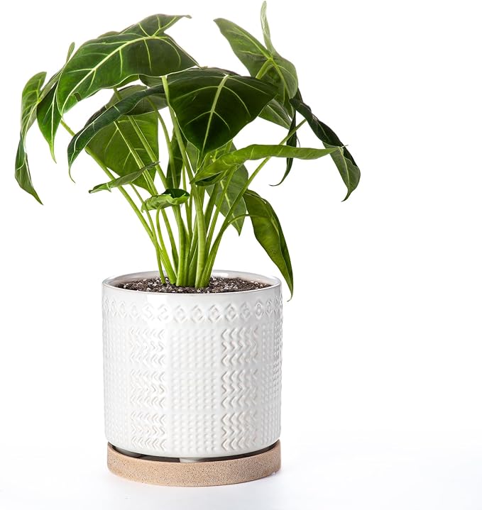 Indoor-Outdoor Ceramic Plant Pots: 8 Inch Flower Pots with Drainage Hole & Saucer - Decorative Ceramic Pots for Plants Herbs Succulents - Home Garden Patio Lawn Use