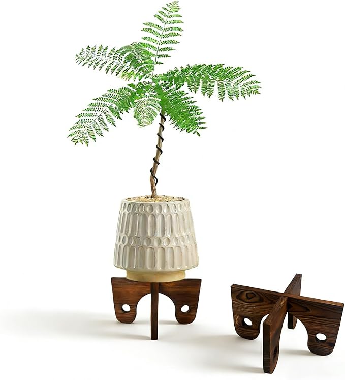 Modern Wood Plant Stand for Indoors, Mid Century Small Single Flower Pot Holder, Rustic Wooden Stool Riser for 4 to 11 Inch Pots, Walnut