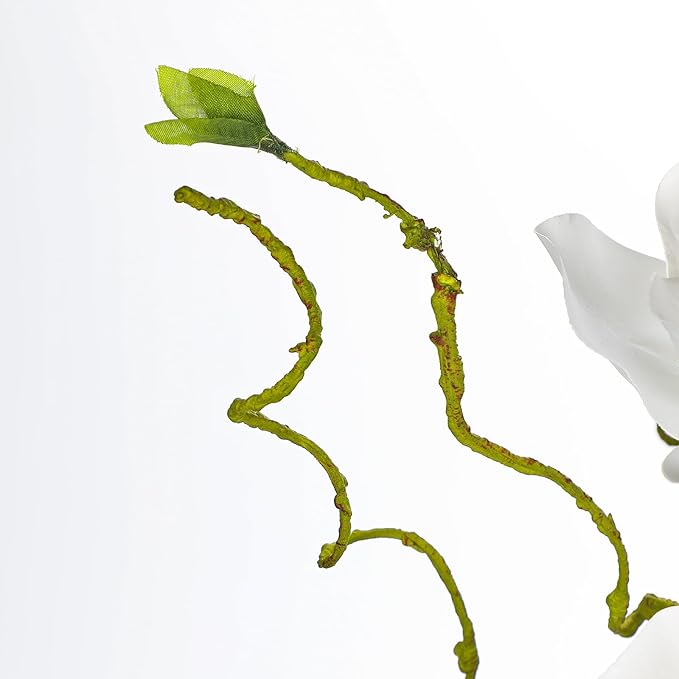 DILATATA Faux Flowers in Vase 14.5" Magnolias Flowers Arrangement with Faux Water Real Touch Flowers for Wedding Table Centerpiece Home Decor, White
