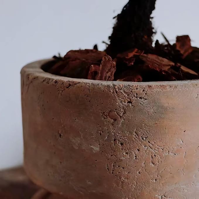 6" Rustic Weathered Terracotta Plant Pot with Saucer, Breathable Clay Planter, Mid-Century Modern Home & Garden Decor