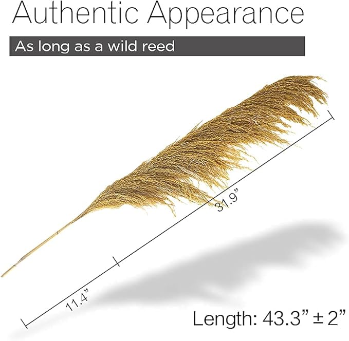 Pampas Grass Decor Tall,Long Pampas, Large Pompas Floral, Elegant Feather Flowers for Wedding Decorations, Living Room Decor (Natural Gold, 4pcs 43.3"(110cm))