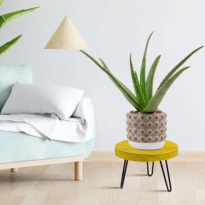 OBTAIN Plant Stand Indoor Outdoor Wood Mid Century Plant Stand for Indoor Plants, Modern Plant Table Round Plant Stool, Boho Rustic Wooden Stool for Plant Pot Hol (L)