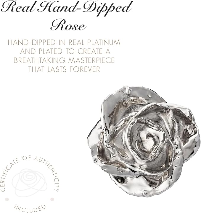Forever Rose Enchanted Preserved with Real Platinum Rose Lasts Forever | Includes Wood Base & Glass Dome | Platinum Dipped Rose Assembled by Hand in The USA | Romantic Gifts for Women