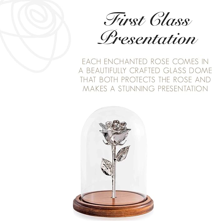 Forever Rose Enchanted Preserved with Real Platinum Rose Lasts Forever | Includes Wood Base & Glass Dome | Platinum Dipped Rose Assembled by Hand in The USA | Romantic Gifts for Women