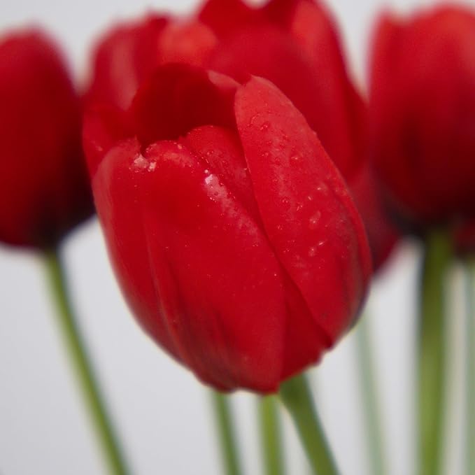 20 Artificial Tulips in Fluted Glass Vase, Waterproof Faux Flowers Bouquet for Wedding Home Office Decor, Table Centerpiece, Housewarming Birthday Gift Set (Red)