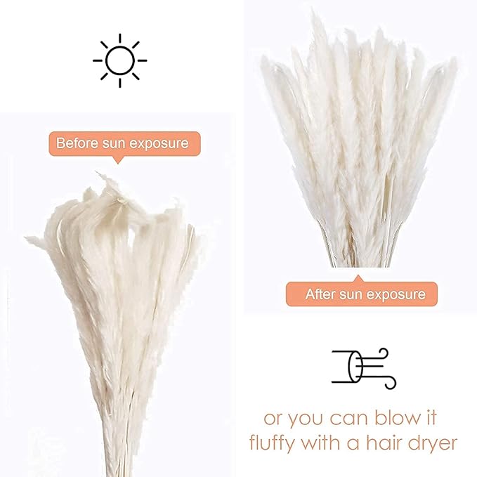 60 Pcs White Pampas Grass ,17 inch/45 cm Natural Dried Pampas Grass Branches Decor for Home Kitchen Garden Party Photographing Flower Arrangement Vase Decor（White