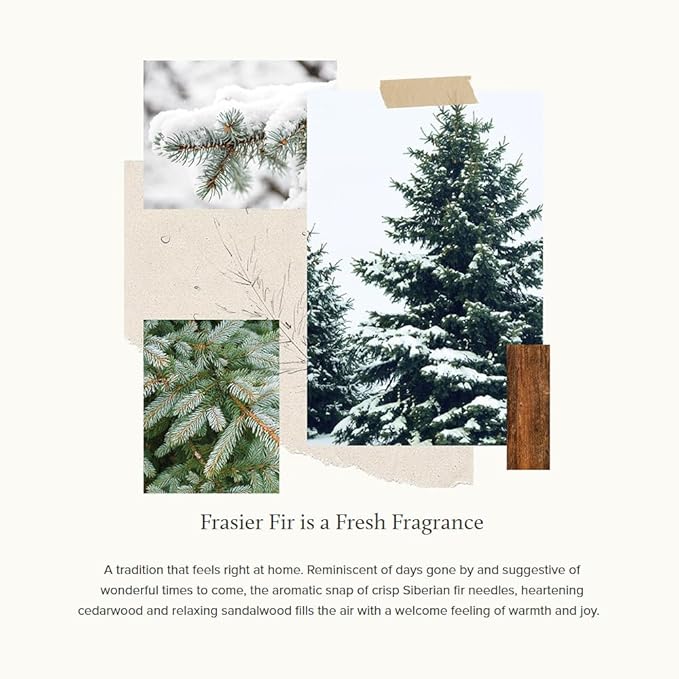 Thymes Frasier Fir Flocked Jar Candles – Holiday Scented Candles for Home with Notes of Crisp Siberian Fir, Cedarwood & Sandalwood – Luxury Home Decor Gifts for Women & Men (6.5 oz)