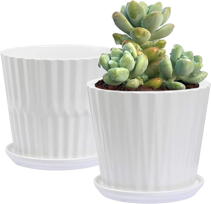 sietpoek Plant Pots - 6.7 Inch Cylinder Ceramic Planters with Connected Saucer, Pots for Succuelnt and Little Snake Plants, Set of 2, White