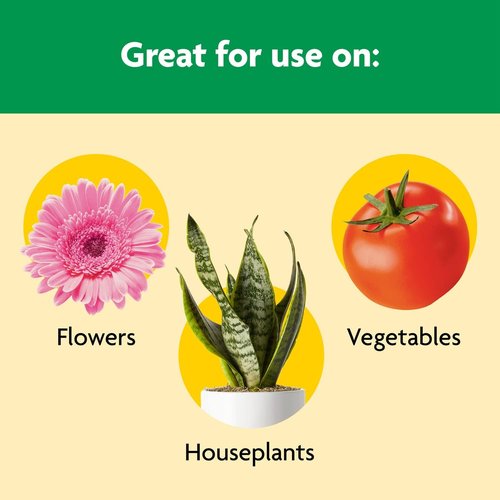 Miracle-Gro Shake 'N Feed All Purpose Plant Food - 4.5 lbs for Indoor & Outdoor Plants | Feeds for 3 Months