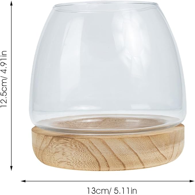 FAVOMOTO Hydroponic Flower Vase with Wooden Base Transparent Glass Micro Landscape Bottle for Desktop Decoration Premium Glass and Wood Material for Home Office Study Plant Display