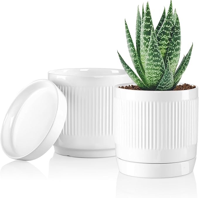 Vanavazon 6 Inch Glazed Ceramic Plant Pots with Drainage Hole and Saucer, Cylinder Indoor Planters for All House Plants, Modern Decor for Home & Office, Set of 2 (White)