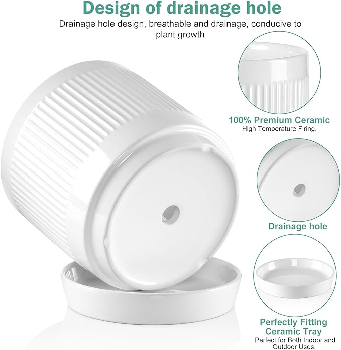 Vanavazon 6 Inch Glazed Ceramic Plant Pots with Drainage Hole and Saucer, Cylinder Indoor Planters for All House Plants, Modern Decor for Home & Office, Set of 2 (White)