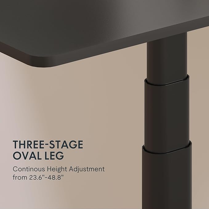 FLEXISPOT E6 Pro Oval Leg Dual Motor 3 Stages Standing Desk 55x28 Inch Whole-Piece Board Electric Height Adjustable Electric Sit Stand Up Desk 150KG Load Capacity (Black Frame + Black Desktop)