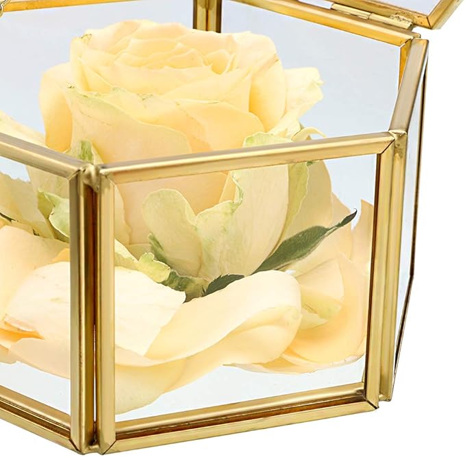 Hipiwe Preserved Flower Glass Box, Hexagon Glass Jewelry Decorative Bin, Ornate Trinket Display Organizer Case Keepsake Box Gift for Women