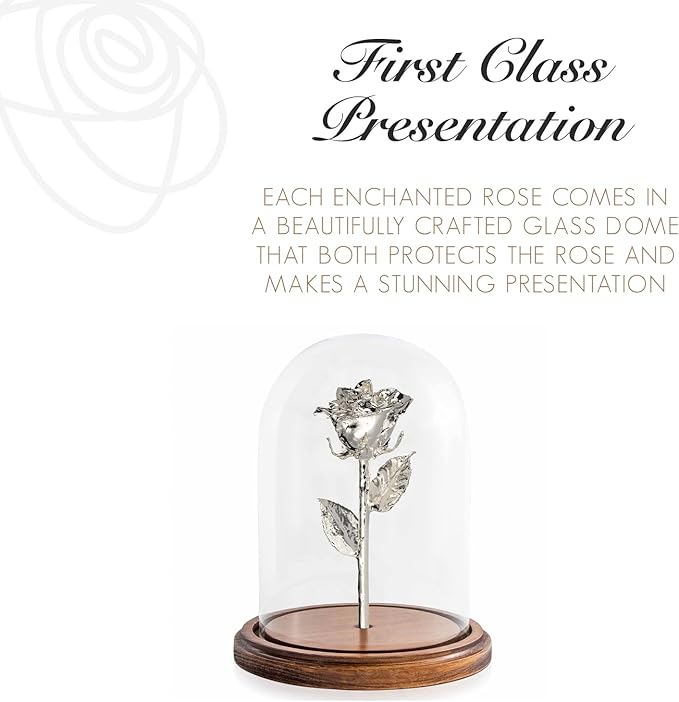 Forever Rose Enchanted Preserved with Real Silver Rose Lasts Forever | Includes Wood Base & Glass Dome | Silver Dipped Rose Assembled by Hand in The USA | Romantic Gifts for Women
