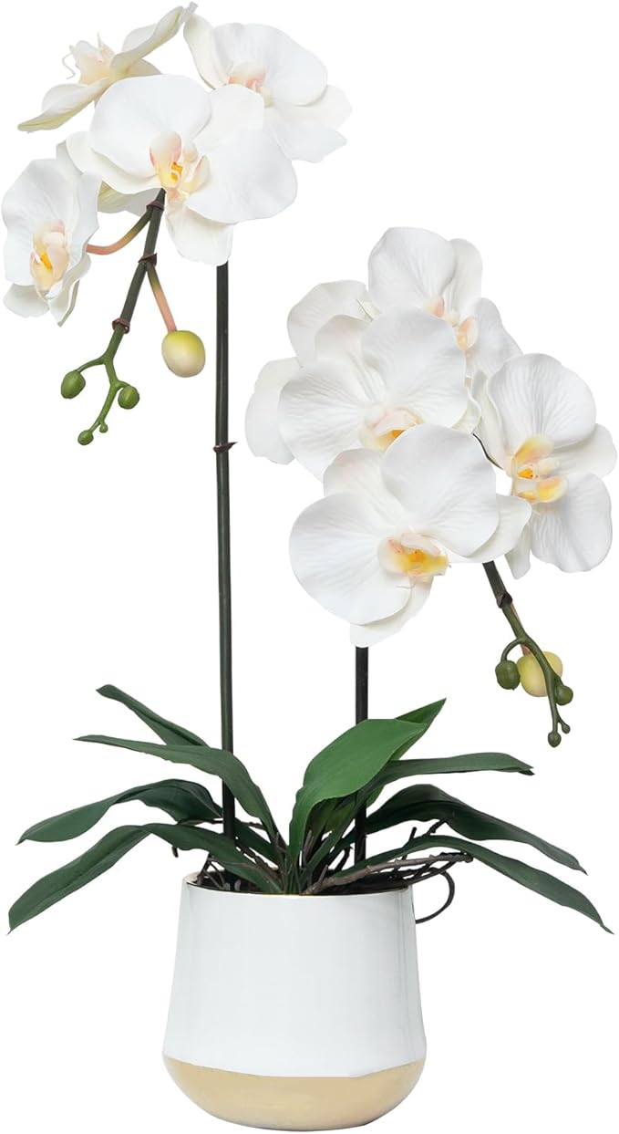 CXGS Orchids Artificial Flowers Realistic Fake Flowers in Ceramic Pot 20" White Lifelike Faux Floral Arrangement Soft PU Phalaenopsis for Home Hotel Indoor Decor, Centerpiece Display