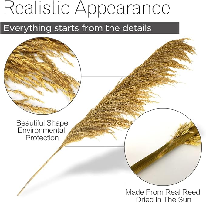 Pampas Grass Decor Tall,Long Pampas, Large Pompas Floral, Elegant Feather Flowers for Wedding Decorations, Living Room Decor (Natural Gold, 8pcs 31.5"(80cm))