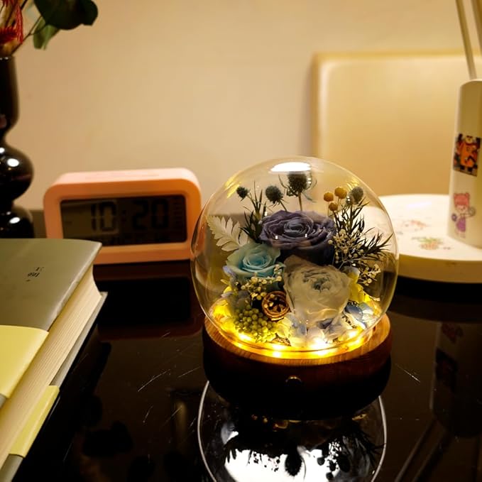 Preserved Real Rose Flowers in Glass Dome with LED Lights,Real Rose Flowers Unique Floral Gift for Girlfriend Mom Wife Girlfriend on Christmas Birthday Anniversary (Starry Sky Blue)